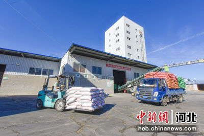 飼料產業助力畜牧漁業發展，廊坊廣陽區太鴻飼料廠產銷兩旺